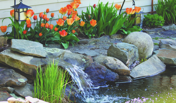Tips for Building a Waterfall for Your Pond
