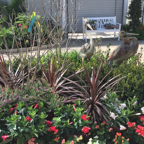 Flowers on display inside of a garden center.