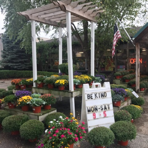 Fall flowers and pumpkins on display outside of Walnut Ridge.