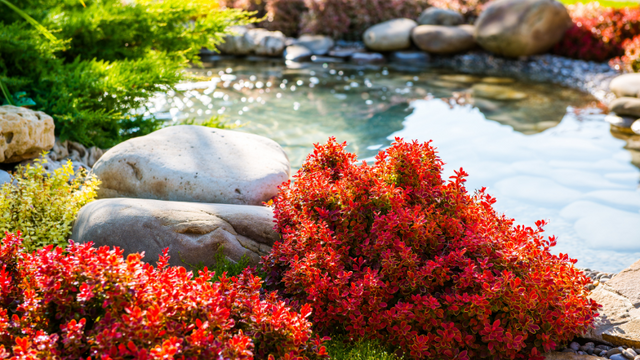 A landscaped water feature surrounded by hedges.