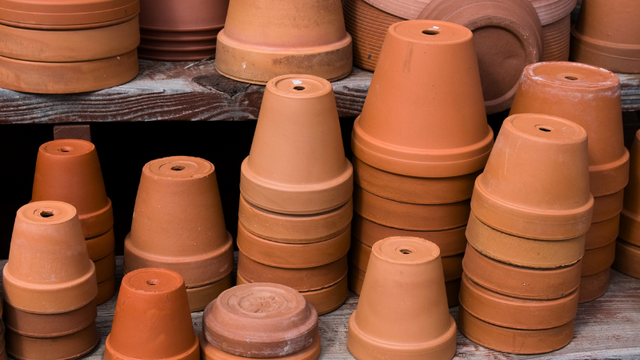 Clay plant pots.